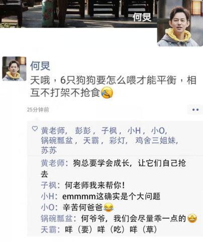 圈内爆料聊天记录张子枫,圈内爆料聊天记录揭秘，青春女神背后的故事  第3张