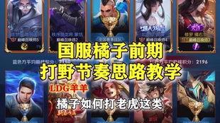 王者橘子新爆料视频,神秘英雄登场，技能特效大揭秘！