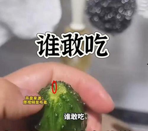 最新黄瓜爆料视频大全在线观看,最新热门瞬间，一网打尽！  第3张