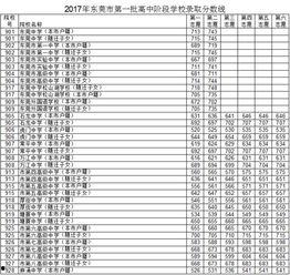 东莞爆料最新新闻今天,聚焦城市动态与民生焦点