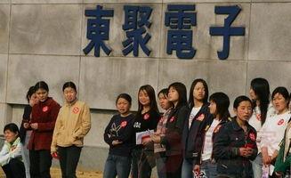 东莞爆料最新新闻今天,聚焦城市动态与民生焦点 第3张 东莞爆料最新新闻今天,聚焦城市动态与民生焦点 第3张