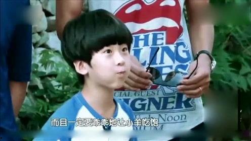 娱乐八卦爆料小鬼视频,娱乐八卦背后的真相揭秘 第3张 娱乐八卦爆料小鬼视频,娱乐八卦背后的真相揭秘 第3张