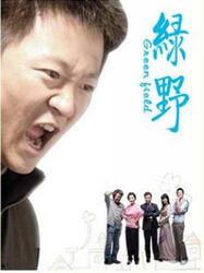 电视剧绿野在线观看,穿越时空的奇幻之旅 第3张 电视剧绿野在线观看,穿越时空的奇幻之旅 第3张