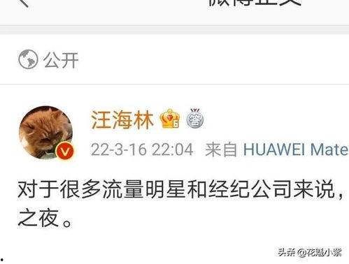爆料娱乐圈的西瓜视频,西瓜视频揭秘明星幕后故事 第3张 爆料娱乐圈的西瓜视频,西瓜视频揭秘明星幕后故事 第3张