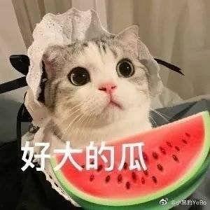 网红吃瓜看大片,网红吃瓜达人带你领略大片世界 第2张 网红吃瓜看大片,网红吃瓜达人带你领略大片世界 第2张