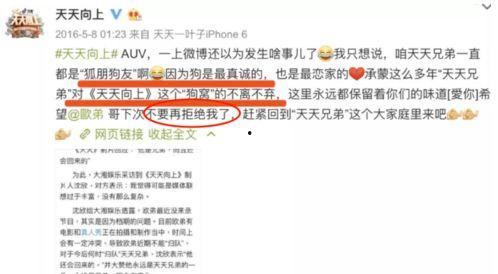 娱乐圈爆料100例,明星背后的真实故事  第2张
