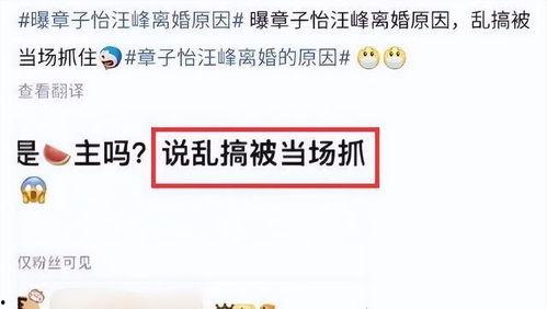 刘大锤最新爆料tnt,TNT全新爆料,带你领略科技前沿魅力 第3张 刘大锤最新爆料tnt,TNT全新爆料,带你领略科技前沿魅力 第3张