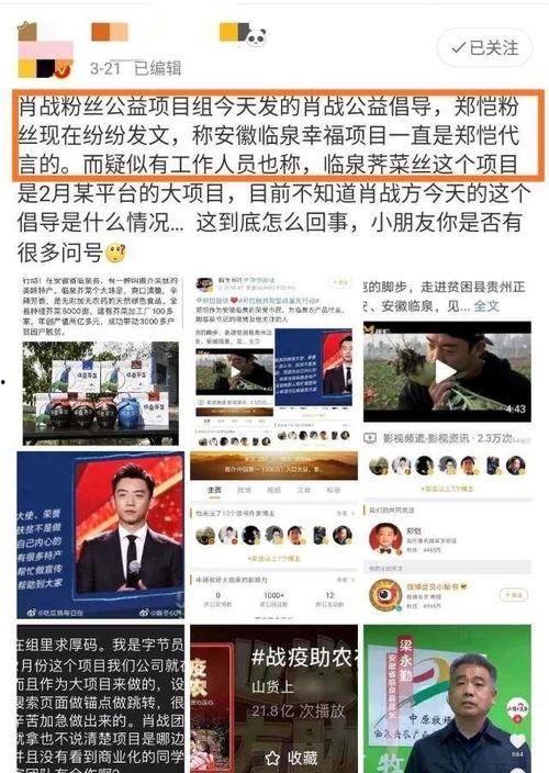 爆料粉丝被骗上当的视频,跟随爆料视频揭开网络诈骗黑幕