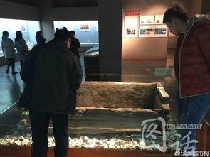 重庆杨小姐最新爆料新闻,揭秘事件背后惊人真相