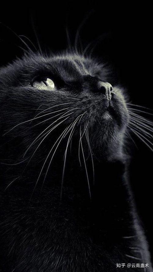 学校风波在线观看  第2张 学校风波在线观看  第2张