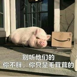 娱乐吃瓜酱猪猪视频,揭秘热门视频背后的趣味故事  第2张 娱乐吃瓜酱猪猪视频,揭秘热门视频背后的趣味故事  第2张