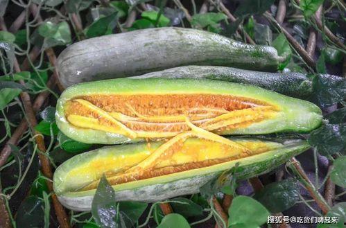 恩施网红吃瓜事件,揭秘网络舆论的风暴与真相  第2张 恩施网红吃瓜事件,揭秘网络舆论的风暴与真相  第2张