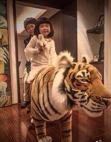 娱乐圈爆料老虎哥是谁啊