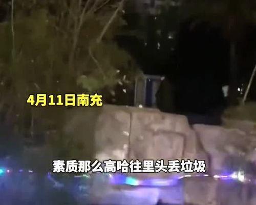 垃圾池爆料视频,视频内容深度解析 第3张 垃圾池爆料视频,视频内容深度解析 第3张