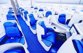 航线最新爆料新闻报道,揭秘神秘航线背后的故事与惊喜