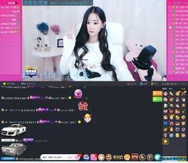 小宇爆料集锦视频完整版,揭秘幕后真相，精彩瞬间大盘点  第1张