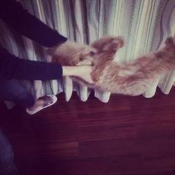 三屁视频在线观看,笑料横生的在线喜剧盛宴 第3张 三屁视频在线观看,笑料横生的在线喜剧盛宴 第3张