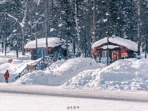 冰天雪地在线观看,在线观看，感受冬日浪漫与冒险之旅
