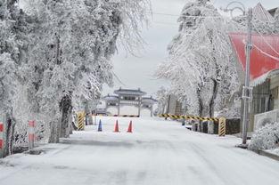 冰天雪地在线观看,在线观看，感受冬日浪漫与冒险之旅  第3张