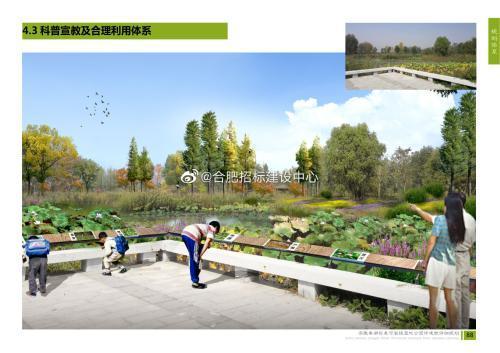 安徽公园爆料视频最新版,惊人真相曝光！