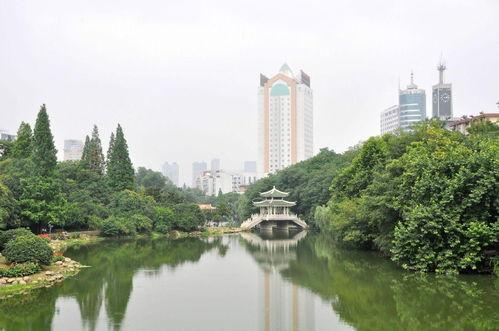 安徽公园爆料视频最新版,惊人真相曝光! 第2张 安徽公园爆料视频最新版,惊人真相曝光! 第2张