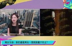 陈思诚天涯爆料新闻最新,揭秘娱乐圈不为人知的幕后真相