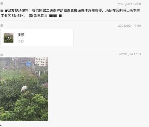 深圳新闻网怎么爆料,如何高效提供新闻线索 第1张 深圳新闻网怎么爆料,如何高效提供新闻线索 第1张